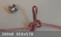ELC KNOT.jpg - 200kB
