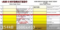 COLOR CHART1.jpg - 154kB