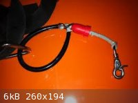 short leash.jpg - 6kB